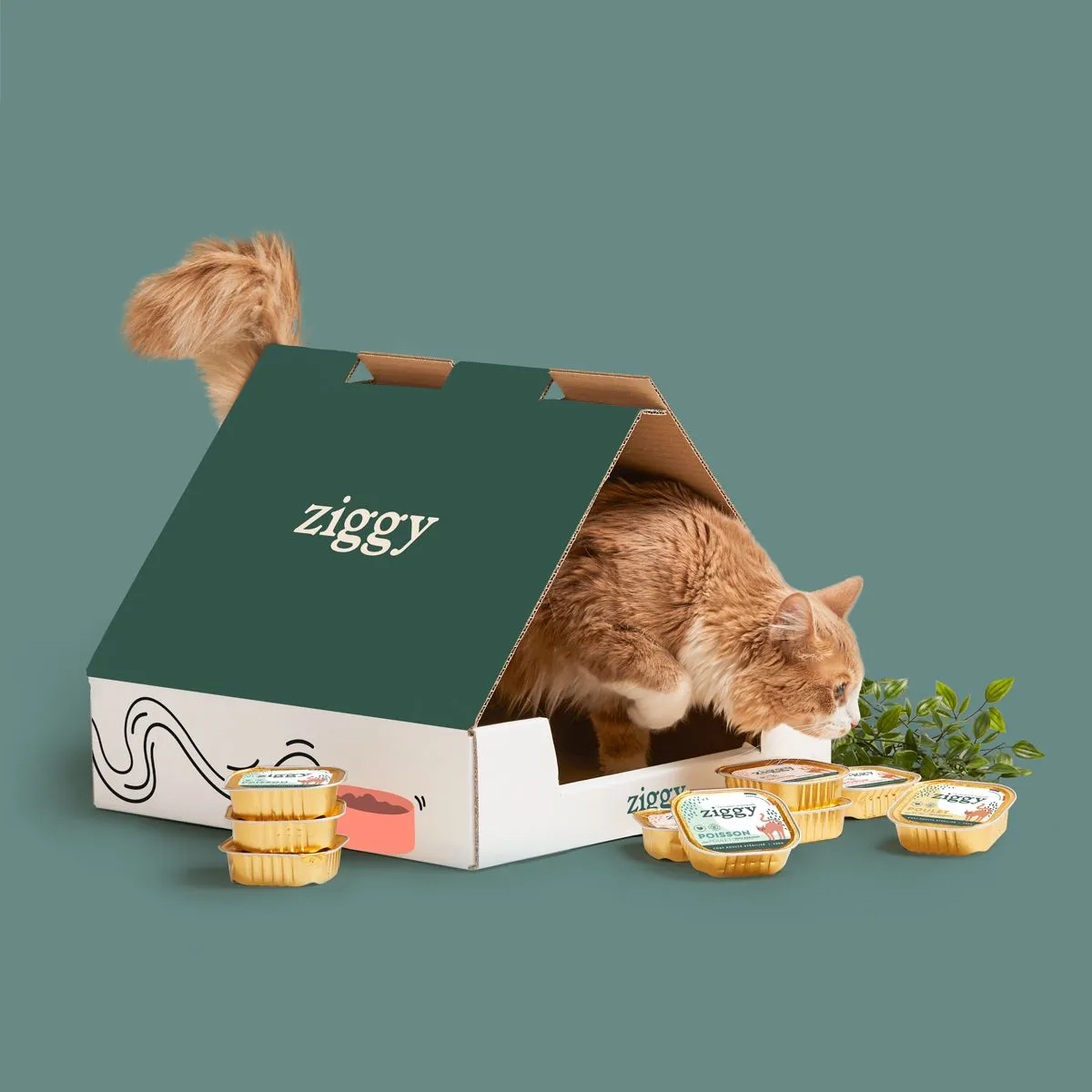emballage e-commerce sur-mesure ziggy - colis carton