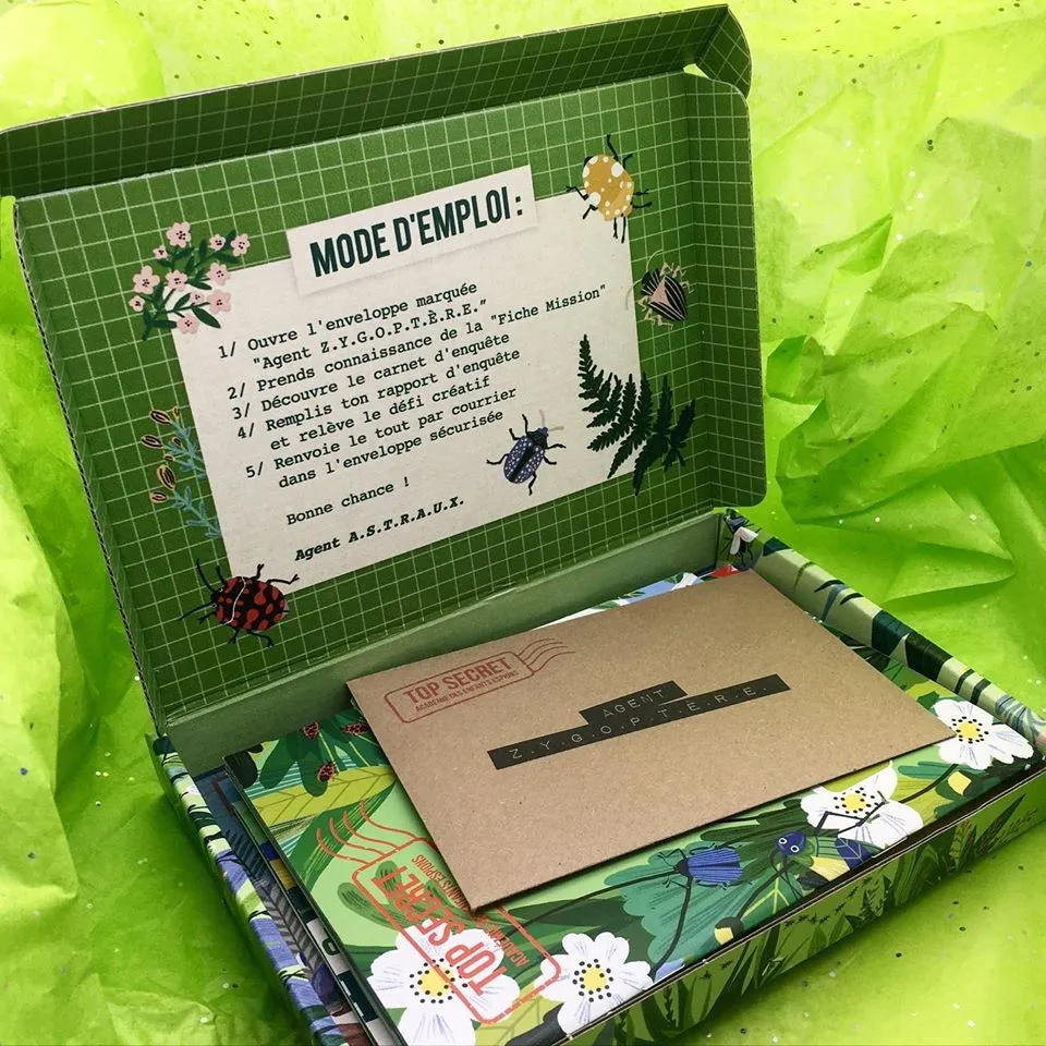 Boîte postale En Cavale verte imprimée intérieur et extérieur, avec son enveloppe d'enquête