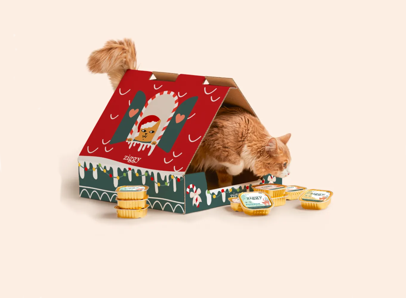 colis carton sur-mesure e-commerce