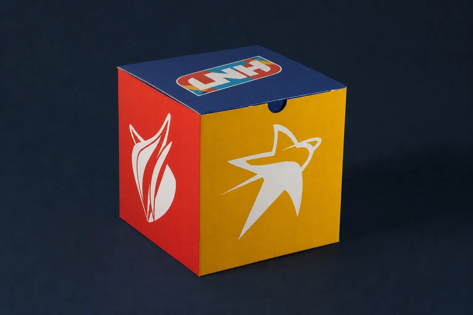 Étui carton cube aux couleurs de la LNH