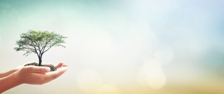 Pack académie 8 emballage éco-responsable